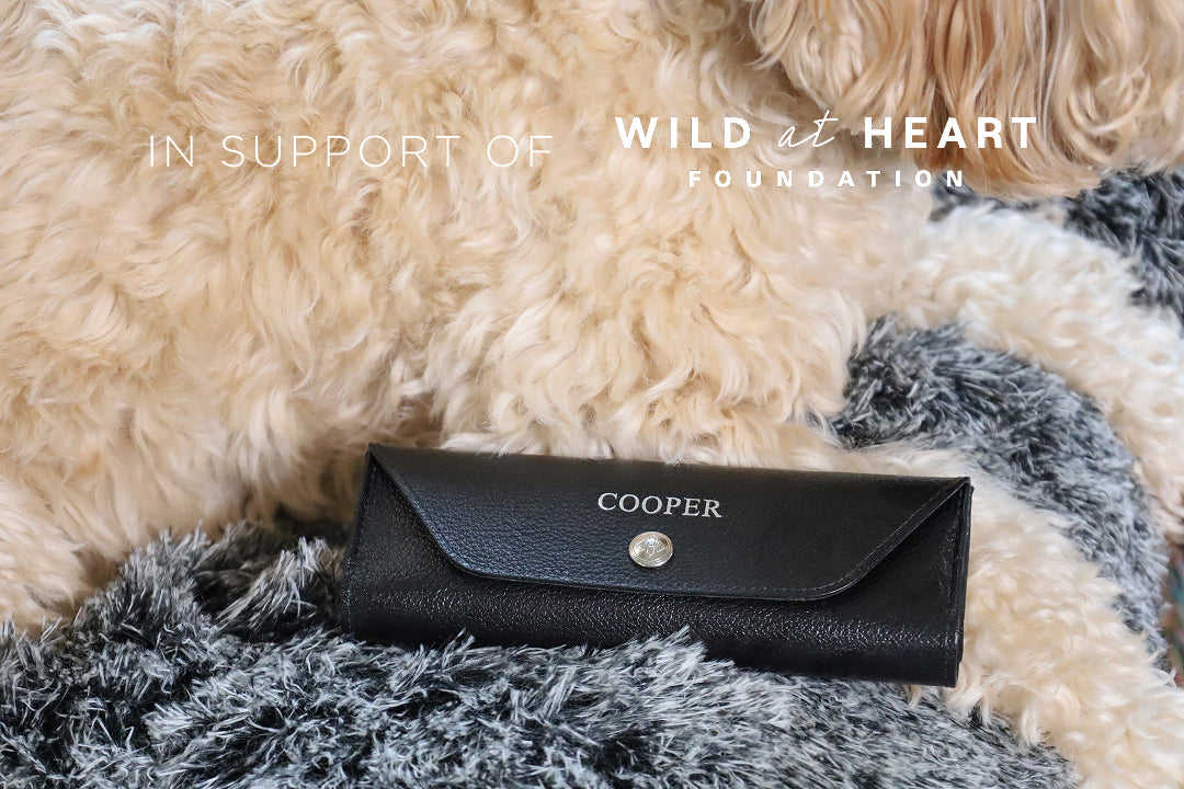 Introducing the new Capra Pet Pill Cases