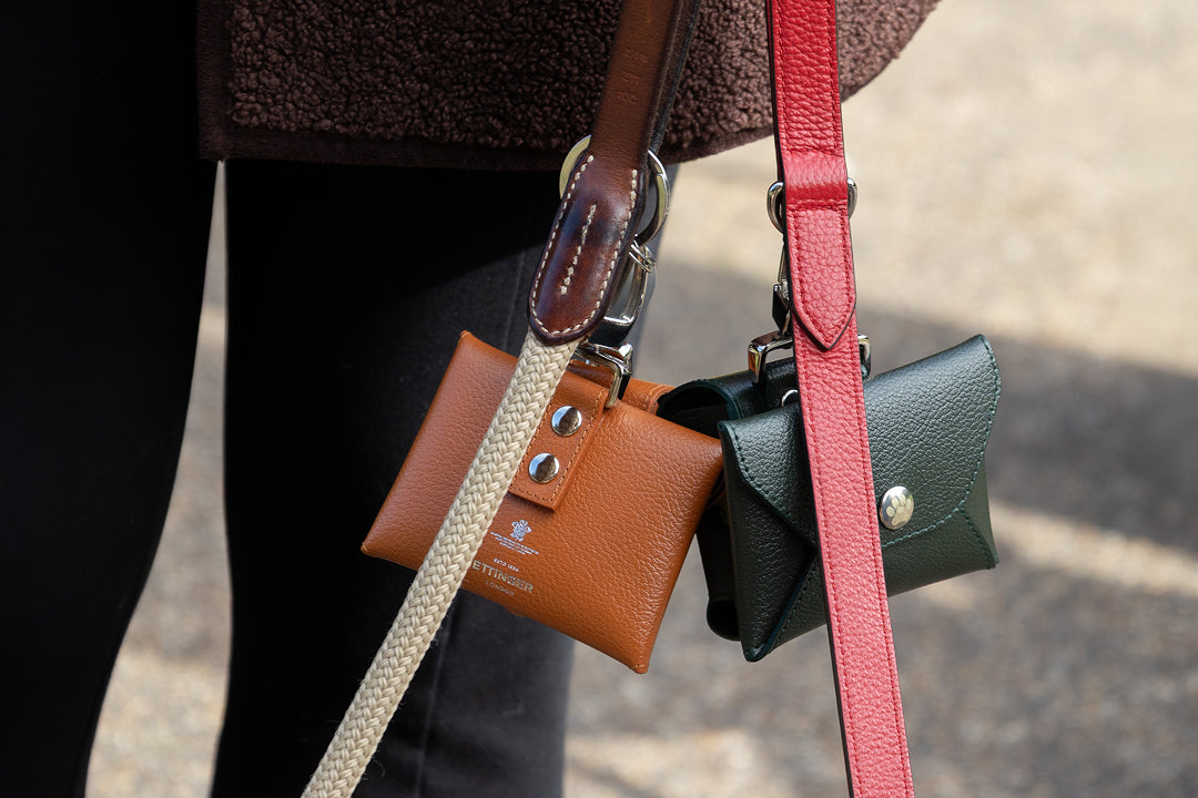 Dog Walk with Wild at Heart Foundation at the Peninsula