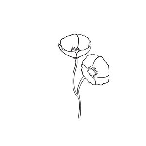 Recovering from the war